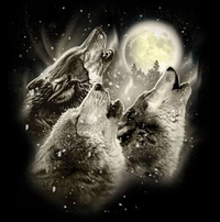 Thumbnail for Wolf Howl Tshirt - TshirtNow.net - 2