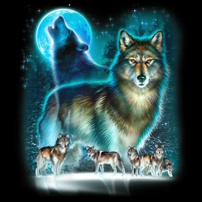 Wolf Moon Silhouette Oversized Print Tshirt - TshirtNow.net - 2