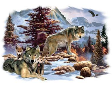 A New Dawn Wolf Tshirt - TshirtNow.net - 2