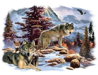 Thumbnail for A New Dawn Wolf Tshirt - TshirtNow.net - 2