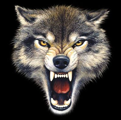 Wolf Bite Tshirt - TshirtNow.net - 2