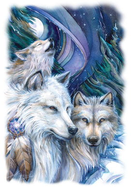 Unforgettable Journey Wolf Tshirt - TshirtNow.net - 2