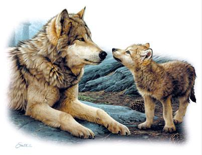 Brother Wolf Tshirt - TshirtNow.net - 2
