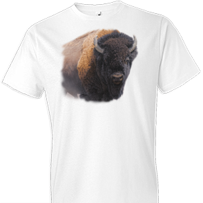 Stare Down Buffalo Tshirt - TshirtNow.net - 1