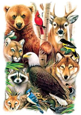North American Animals Tshirt - TshirtNow.net - 1