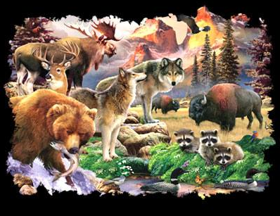 Forest Friends Animal Tshirt - TshirtNow.net - 2