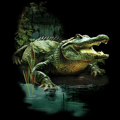 Gator Swamp Oversized Tshirt - TshirtNow.net - 2