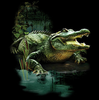 Thumbnail for Gator Swamp Tshirt - TshirtNow.net - 2