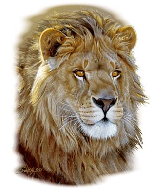Lion Portrait Tshirt - TshirtNow.net - 2