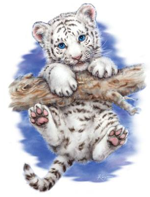 Little Adventure Tiger Tshirt - TshirtNow.net - 2