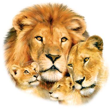 Lion Pride Oversized Print Tshirt - TshirtNow.net - 2