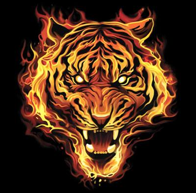 Flaming Tiger Tshirt - TshirtNow.net - 2