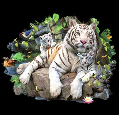 White Tiger Family Tshirt - TshirtNow.net - 2