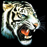 Thumbnail for White Tiger Roar Tshirt - TshirtNow.net - 2