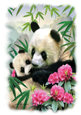 Mountain Panda Tshirt - TshirtNow.net - 2