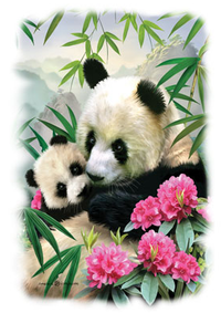 Thumbnail for Mountain Panda Tshirt - TshirtNow.net - 2