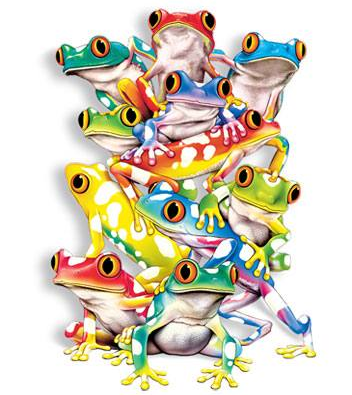 Balancing Act Frog Tshirt - TshirtNow.net - 2