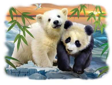 Bears Oversized Print Tshirt - TshirtNow.net - 2