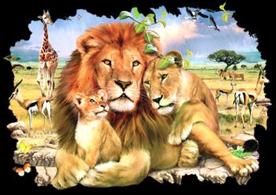Lion Pride 2 Oversized Tshirt - TshirtNow.net - 2