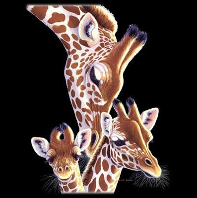Giraffe Family Tshirt - TshirtNow.net - 2