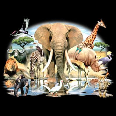 African Oasis Black Tshirt With Oversized Print - TshirtNow.net - 2