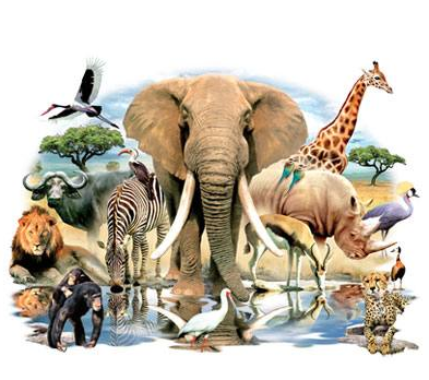 African Oasis White Tshirt - TshirtNow.net - 2