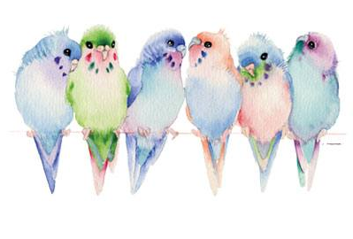 Colorful Birds Tshirt - TshirtNow.net - 2