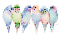 Thumbnail for Colorful Birds Tshirt - TshirtNow.net - 2