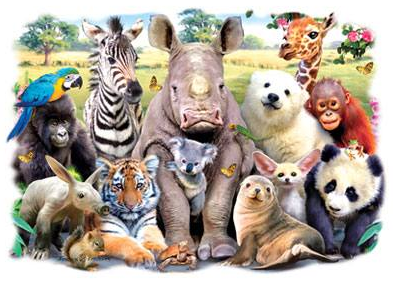 Animal Class Photo Tshirt - TshirtNow.net - 2