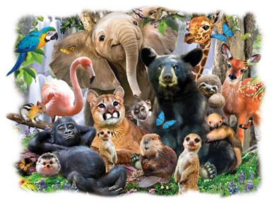 Nature Trail Animal Tshirt - TshirtNow.net - 2