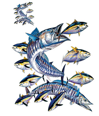 Wahoo Fish Tshirt - TshirtNow.net - 2