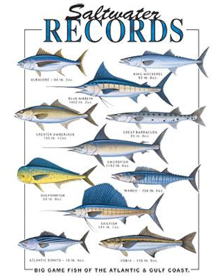 Saltwater Records Fish Tshirt Oversize Print - TshirtNow.net - 2