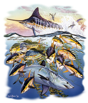 Saltwater Collage Fish Tshirt - TshirtNow.net - 2