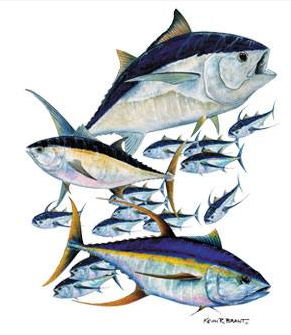 Tuna Montage Fish Tshirt - TshirtNow.net - 2