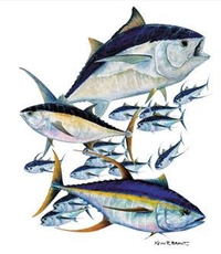 Thumbnail for Tuna Montage Fish Tshirt - TshirtNow.net - 2