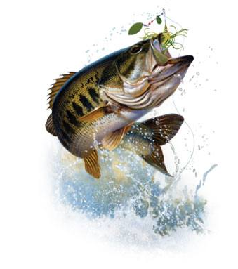 Fish and Hook Tshirt - TshirtNow.net - 2