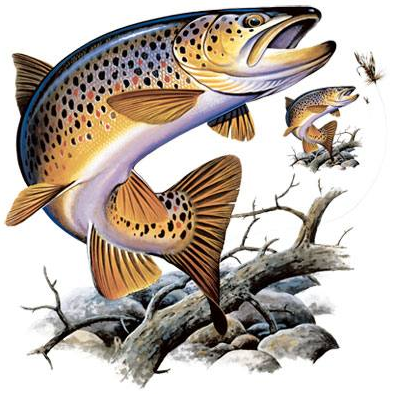 Brown Trout Tshirt - TshirtNow.net - 2