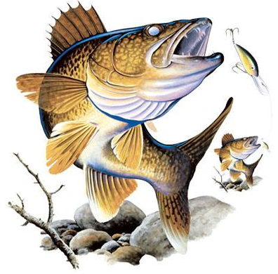 Walleye Tshirt - TshirtNow.net - 2