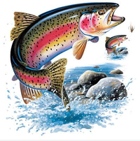 Thumbnail for Rainbow Trout Tshirt with Oversized Print - TshirtNow.net - 2