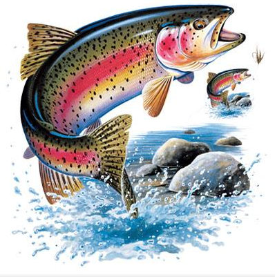 Rainbow Trout Tshirt - TshirtNow.net - 2