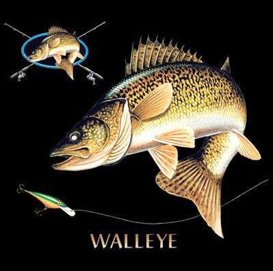 Walleye Combination Tshirt - TshirtNow.net - 2