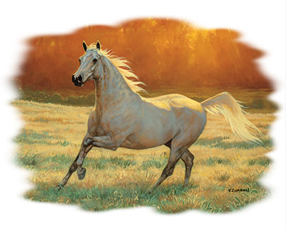 Thats My Horse Tshirt - TshirtNow.net - 2