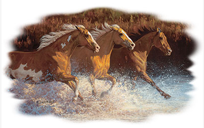 Thundering Water Horse Tshirt - TshirtNow.net - 2