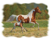Thumbnail for Summer Breeze Horse Tshirt - TshirtNow.net - 2