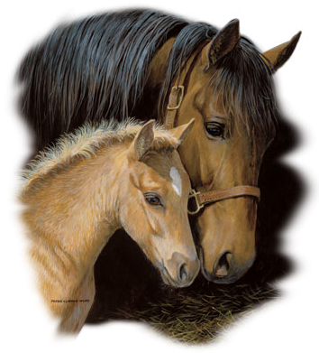 Gentle Touch Horse Tshirt - TshirtNow.net - 2