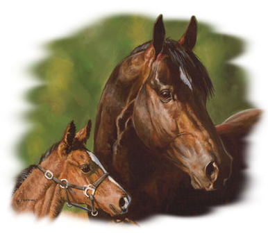 Dark Star Horse Tshirt - TshirtNow.net - 2