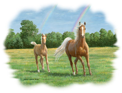 Double The Gold Horse Tshirt - TshirtNow.net - 2