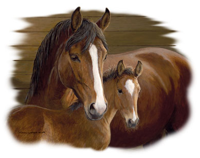 Bay Ladies Horse Tshirt - TshirtNow.net - 2