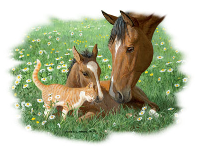 Summer Daisies Horse Tshirt - TshirtNow.net - 2