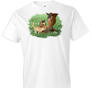 Summer Daisies Horse Tshirt - TshirtNow.net - 1